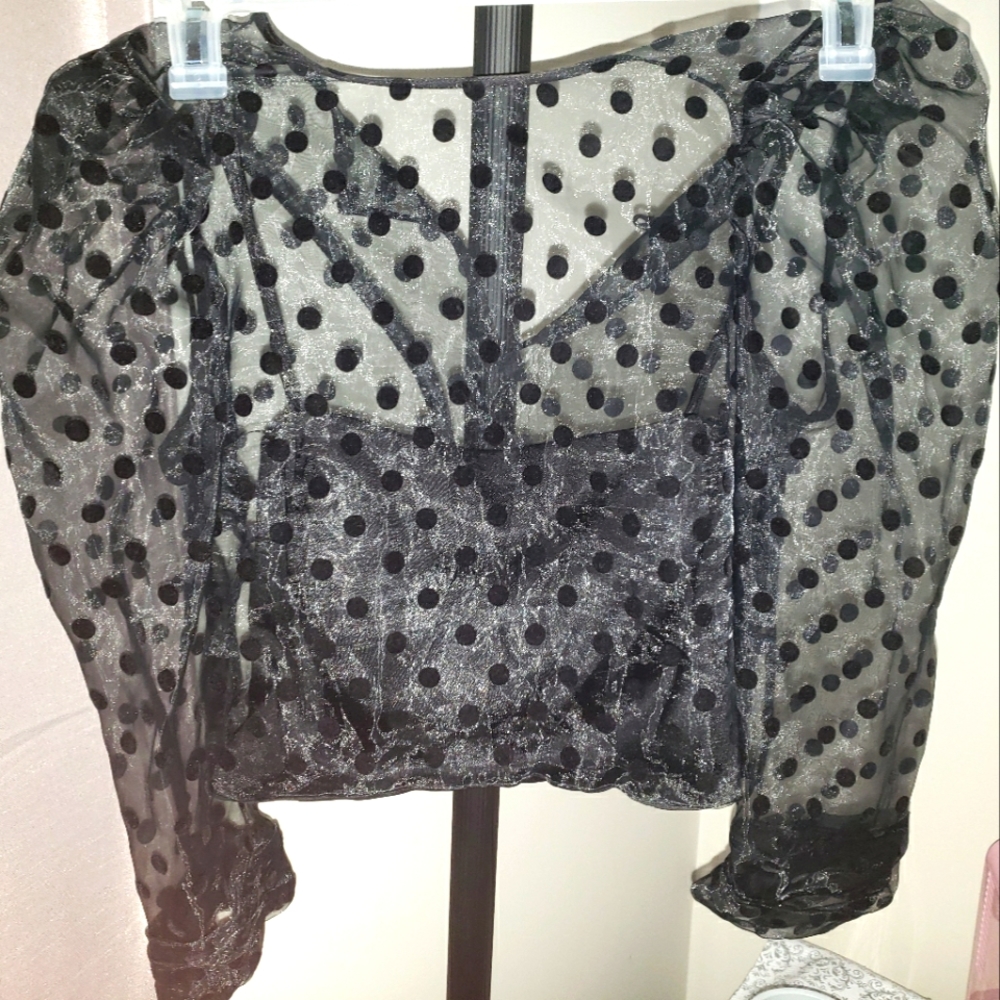 Black organza polka dot zara top